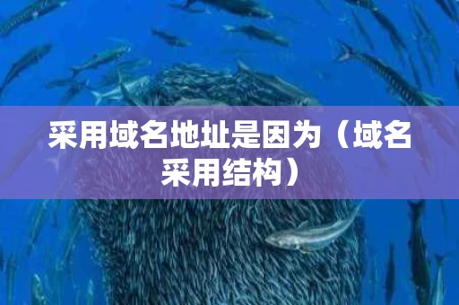 采用域名地址是因为（域名采用结构）