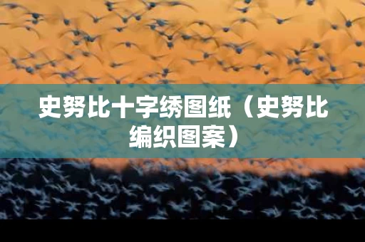 史努比十字绣图纸（史努比编织图案）