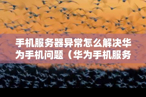 手机服务器异常怎么解决华为手机问题（华为手机服务器暂时不可用是什么意思）