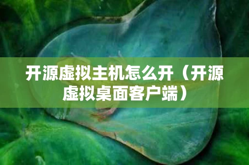 开源虚拟主机怎么开（开源虚拟桌面客户端）