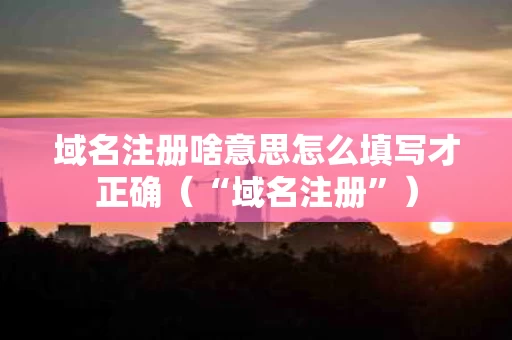 域名注册啥意思怎么填写才正确（“域名注册”）