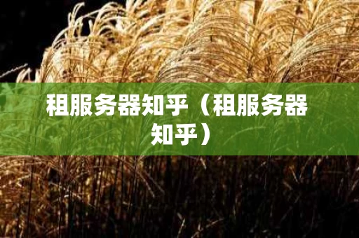 租服务器知乎（租服务器 知乎）