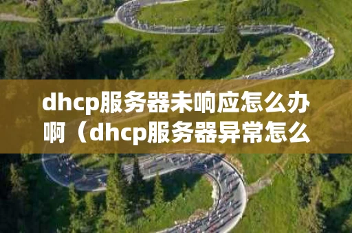 dhcp服务器未响应怎么办啊（dhcp服务器异常怎么解决）
