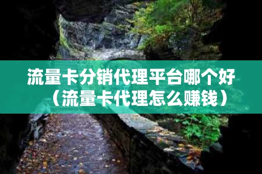 流量卡分销代理平台哪个好（流量卡代理怎么赚钱）