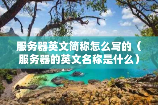 服务器英文简称怎么写的（服务器的英文名称是什么）