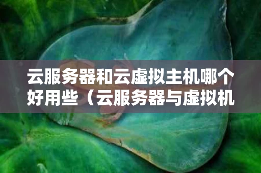 云服务器和云虚拟主机哪个好用些（云服务器与虚拟机的区别）