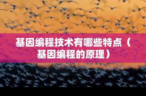 基因编程技术有哪些特点（基因编程的原理）