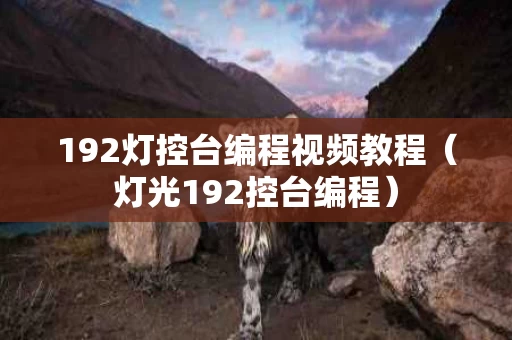 192灯控台编程视频教程（灯光192控台编程）