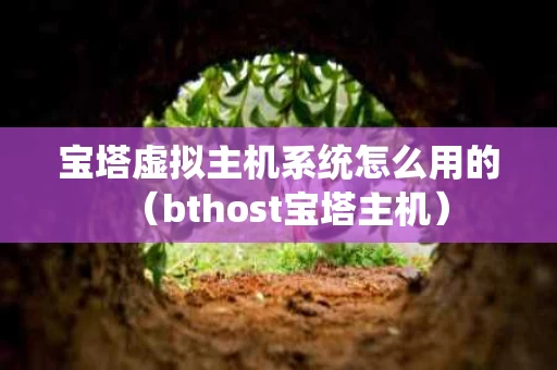宝塔虚拟主机系统怎么用的（bthost宝塔主机）