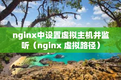 nginx中设置虚拟主机并监听（nginx 虚拟路径）