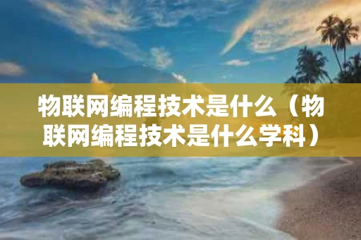 物联网编程技术是什么（物联网编程技术是什么学科）