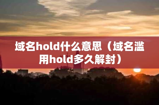 域名hold什么意思（域名滥用hold多久解封）