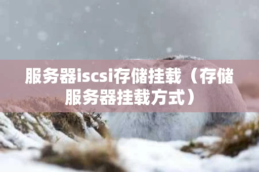 服务器iscsi存储挂载（存储服务器挂载方式）