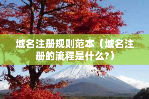 域名注册规则范本（域名注册的流程是什么?）