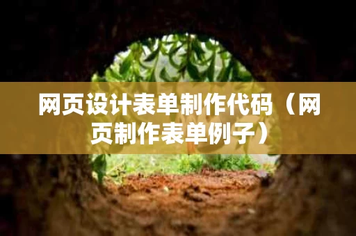 网页设计表单制作代码（网页制作表单例子）