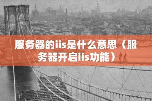 服务器的iis是什么意思（服务器开启iis功能）