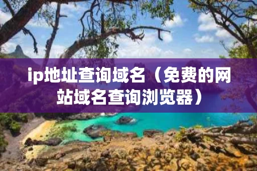 ip地址查询域名（免费的网站域名查询浏览器）