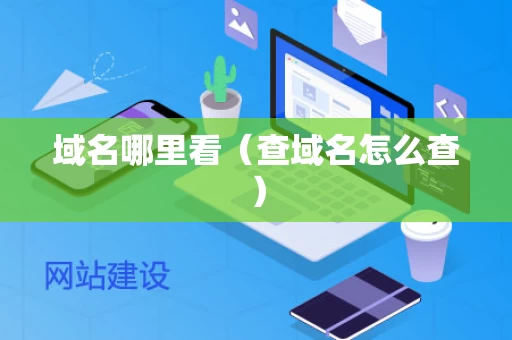 域名哪里看（查域名怎么查）