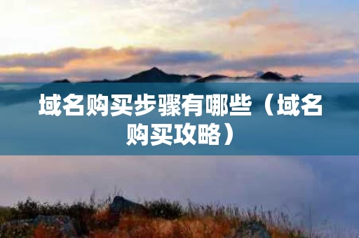 域名购买步骤有哪些（域名购买攻略）