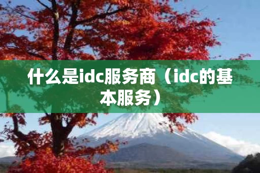 什么是idc服务商（idc的基本服务）