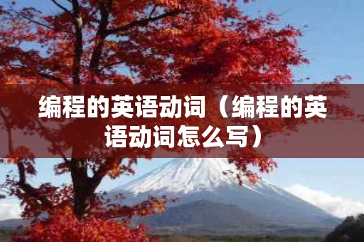 编程的英语动词（编程的英语动词怎么写）