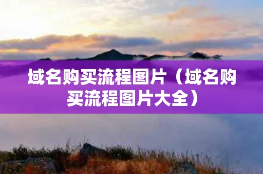 域名购买流程图片（域名购买流程图片大全）