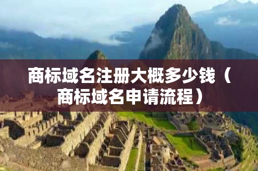 商标域名注册大概多少钱（商标域名申请流程）