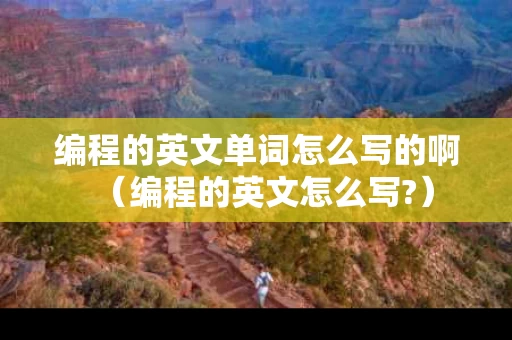 编程的英文单词怎么写的啊（编程的英文怎么写?）