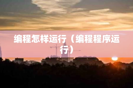 编程怎样运行（编程程序运行）