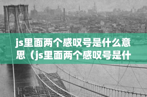 js里面两个感叹号是什么意思（js里面两个感叹号是什么意思啊）