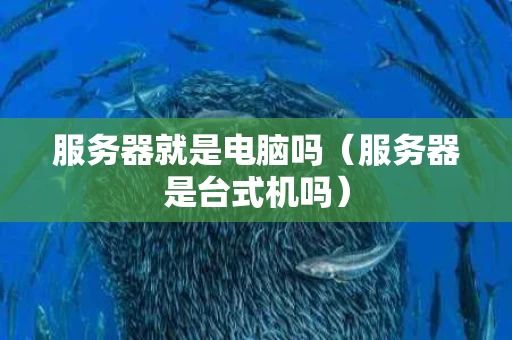 服务器就是电脑吗（服务器是台式机吗）