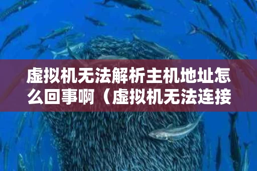虚拟机无法解析主机地址怎么回事啊（虚拟机无法连接虚拟设备因为主机上没有相应的设备）