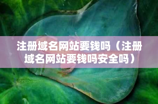 注册域名网站要钱吗（注册域名网站要钱吗安全吗）