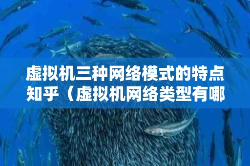 虚拟机三种网络模式的特点知乎（虚拟机网络类型有哪三种）