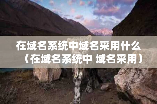 在域名系统中域名采用什么（在域名系统中 域名采用）