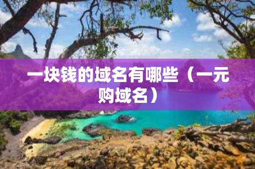 一块钱的域名有哪些（一元购域名）