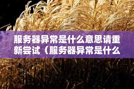 服务器异常是什么意思请重新尝试（服务器异常是什么意思请重新尝试登录）