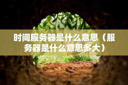 时间服务器是什么意思（服务器是什么意思多大）