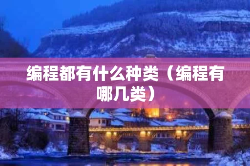 编程都有什么种类（编程有哪几类）