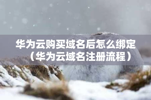 华为云购买域名后怎么绑定（华为云域名注册流程）