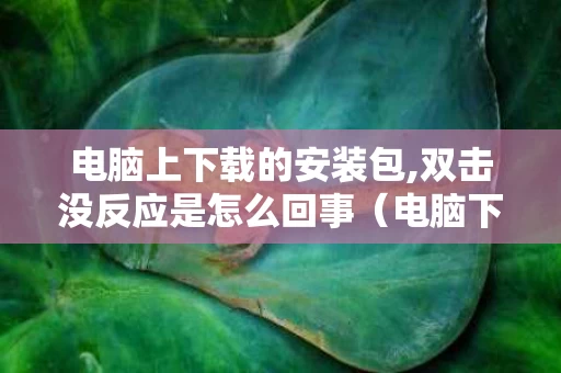 电脑上下载的安装包,双击没反应是怎么回事（电脑下载的安装包打不开是什么原因）