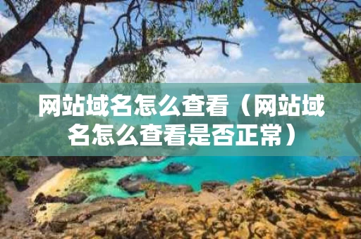 网站域名怎么查看（网站域名怎么查看是否正常）