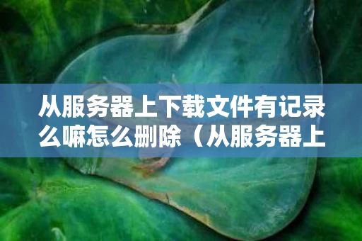 从服务器上下载文件有记录么嘛怎么删除（从服务器上下载文件到本地）