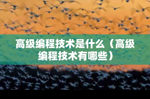 高级编程技术是什么（高级编程技术有哪些）