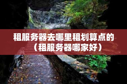 租服务器去哪里租划算点的（租服务器哪家好）