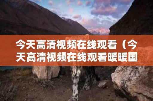 今天高清视频在线观看（今天高清视频在线观看暖暖国语版）