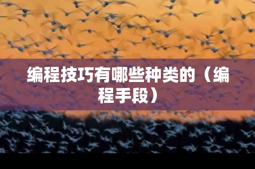 编程技巧有哪些种类的（编程手段）