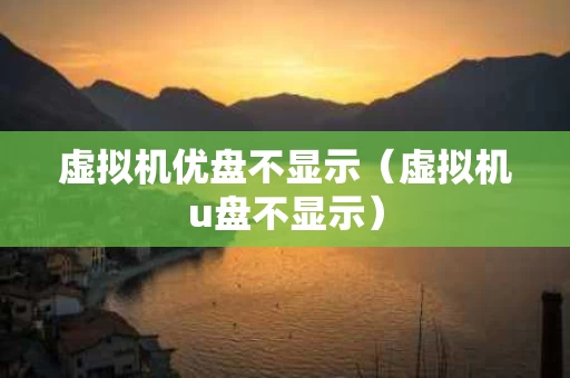 虚拟机优盘不显示（虚拟机u盘不显示）
