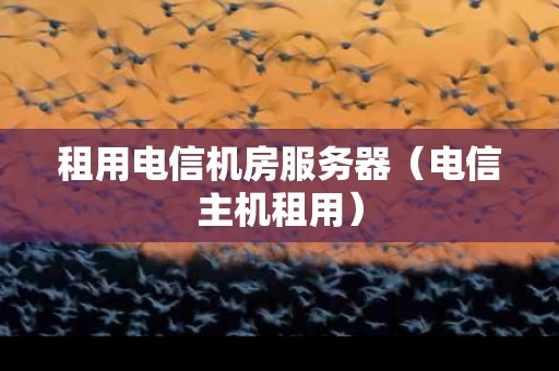 租用电信机房服务器（电信主机租用）