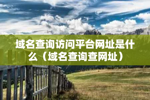 域名查询访问平台网址是什么（域名查询查网址）